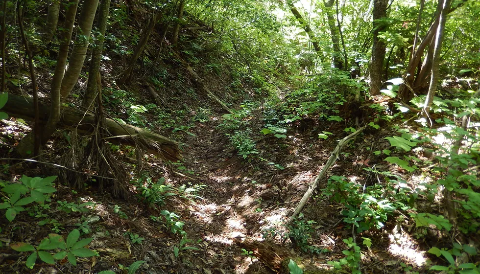 百枚間歩への旧道