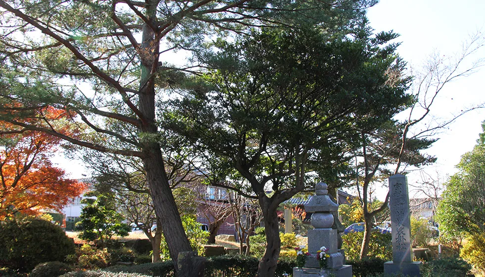 日蓮聖人の「袈裟掛けの松」。