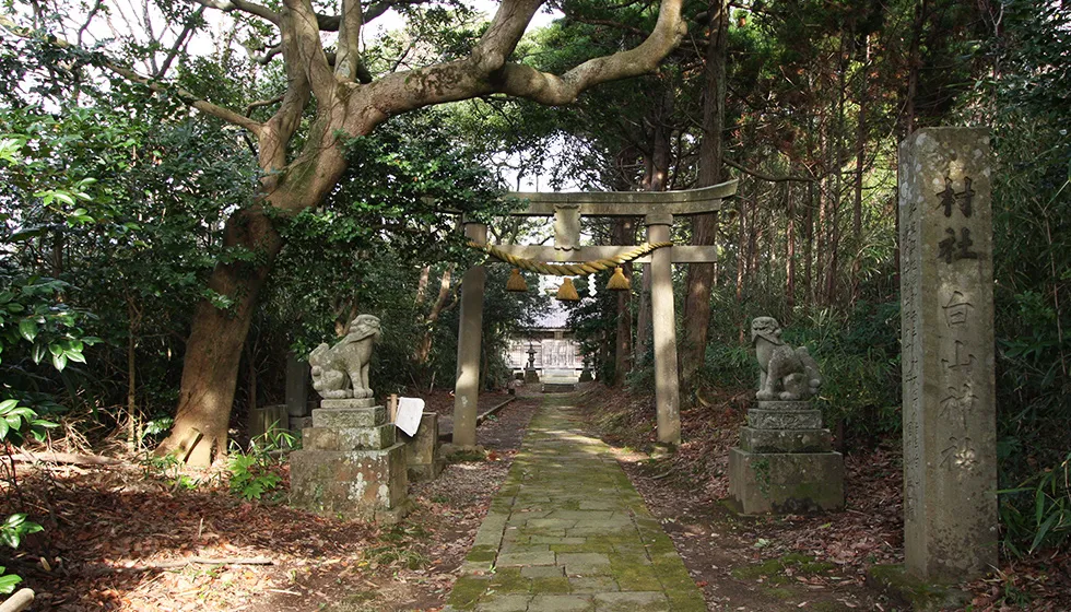 石臼塚は小泊白山神社の境内にあります。