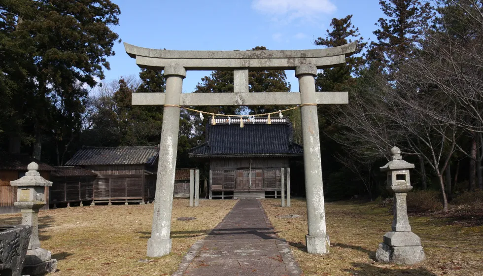 豊かな社叢に包まれています。