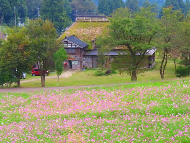 牧ふるさと村 自然と憩の森
