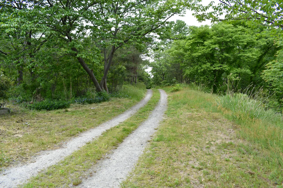 遊歩道