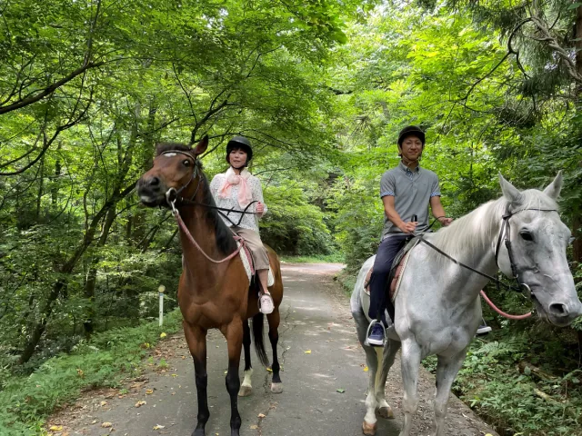 サラブレッドに乗れる!山道で乗馬体験