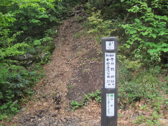 信越トレイル(大島区)