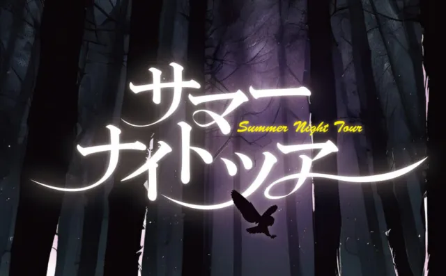 【夏休み限定!】 サマーナイトツアー