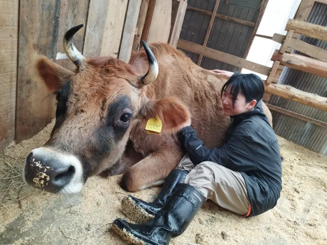 【春休み限定】親子にオススメ!森の中の小さな牧場 動物ふれあい体験